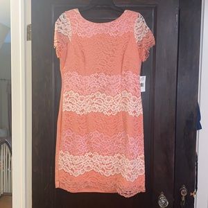 Lace Alexia Admor dress